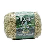 Clear Water Barley Medium Pond Planter up to 1500G