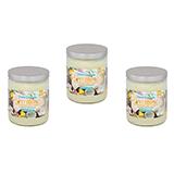 Pet Odor Pina Colada Candle 3-Pack