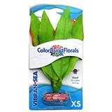 Colorburst Amazon Sword XSmall Silk Aquarium Plant