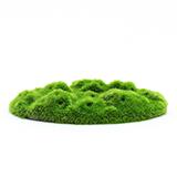 Ornament Aqua-Floras Moss Patch