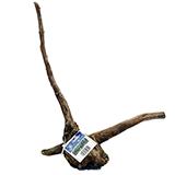 Congo Wood Medium 8- 10-inches