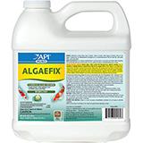 AlgaeFix for controlling Algae in Ponds 64-oz