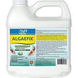 AlgaeFix for controlling Algae in Ponds 64-oz