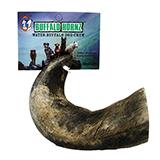 Buffalo Hornz Medium Natural Dog Chew