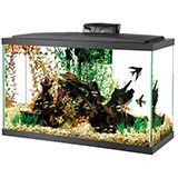 Aqueon 29 Gallon LED Aquarium Kit