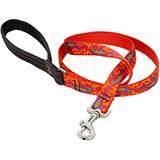 Lupine Nylon Dog Leash 4-foot x 3/4-inch Go Go Gecko