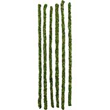 Galapagos Mossy Sticks 24in
