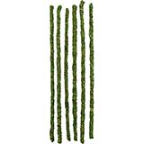 Galapagos Mossy Sticks 24in 6 Pack Terrarium Decoaration