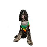 Handmade Dog Sweater Rainbow Mowhawk Medium