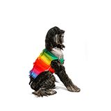 Handmade Dog Sweater Rainbow Mowhawk XXLarge