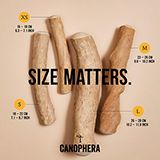 Canophera Small Coffee Tree Wood Chew for Dogs