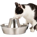 PaeSafe Stainless Drinking Fountain 60oz