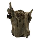 Wood Stump Small