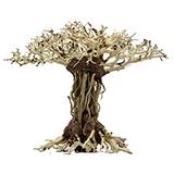 Yocemite Tree 12 inch