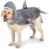 Costume Shark Lg