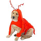 Casual Canine Lobster Paws Medium Dog Costume