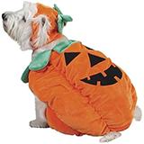 Costume Pumpkin Pooch Small