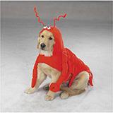 Casual Canine Lobster Paws XXLarge Dog Costume