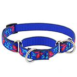 Lupine Martingale Dog Collar Social Butterfly 14-20 inches