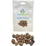 Liquid Gardens Alder Cones