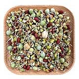 Avian Fresh Diet Parrot Food Bean Supreme Sprout Blend