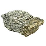 Exotic Blue Petrified Wood 1Lb.