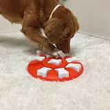 Nina Ottosson Paw and Nuzzle Dog Smart Puzzle for Dogs