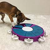 Nina Ottosson Dog Twister Puzzle Level 3 for Dogs