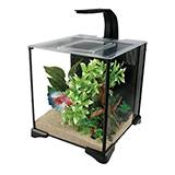 Fluval Premium Betta Aquarium Kit 5Gal