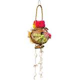 Coconut Fun Foraging Activity Medium Bird Toy