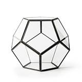 SuperMoss Dome Glass Terrarium 6.5 x 10-inch