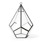 SuperMoss Teardrop Glass Terrarium 7 x 10-inch