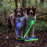 NightDog Rechargeable Blue LED Lighted Leash