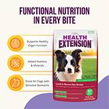 Health Extension Original Lamb Brown Rice 4lb