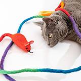 Wool Rainbow Mouse with 6 ft Tail Cat Toy
