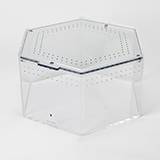 Tarantula Cribs Terrestrial Hex Large