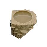 Jumping Spider Platform Dish One of a Kind