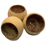 Bell Cups for terrariums and isopods