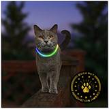 NightMeow LED Disc-O Select Cat Necklace