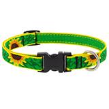 Dog Collar Adjustable Nylon Sunflower 9-14 3/4 inch wide