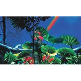 P/P Doubleback Cactus Garden Aquarium Background per Foot