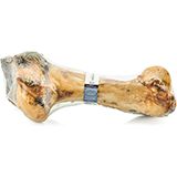 Mammoth Bone                  