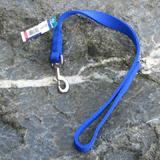 Nylon Dog Traffic Leash 1-inch x 2 foot Blue