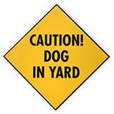 Caution Dog in Yard Sign 12 x 12 inches Aluminum