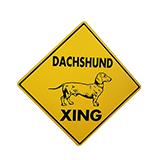 Sign Dachsund Xing 12 x 12 inch Aluminum