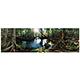 Galapagos Tropical Terrarium Cling Background 11.1 x 36-in.