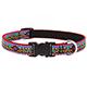 Dog Collar Adjustable Nylon El Paso 9-14 3/4 inch wide