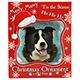 E&S Imports Shatterproof Animal Ornament Border Collie