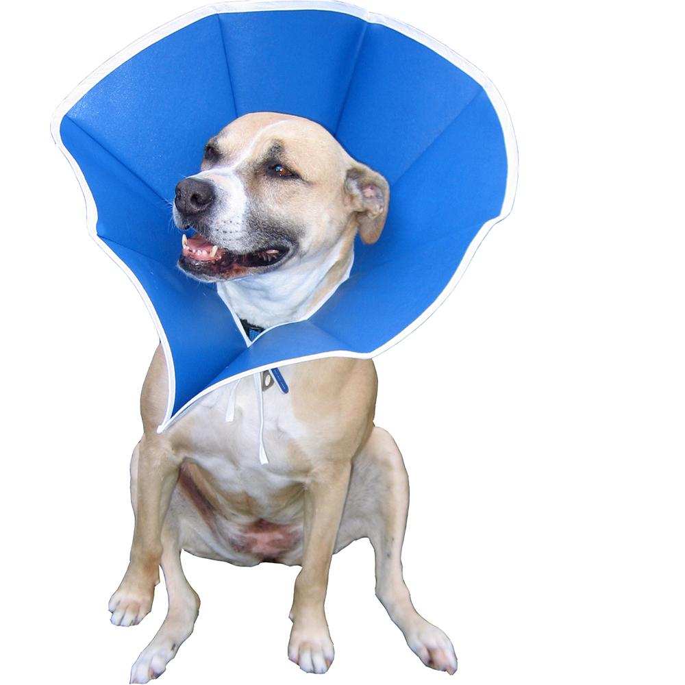 soft e collar for dogs