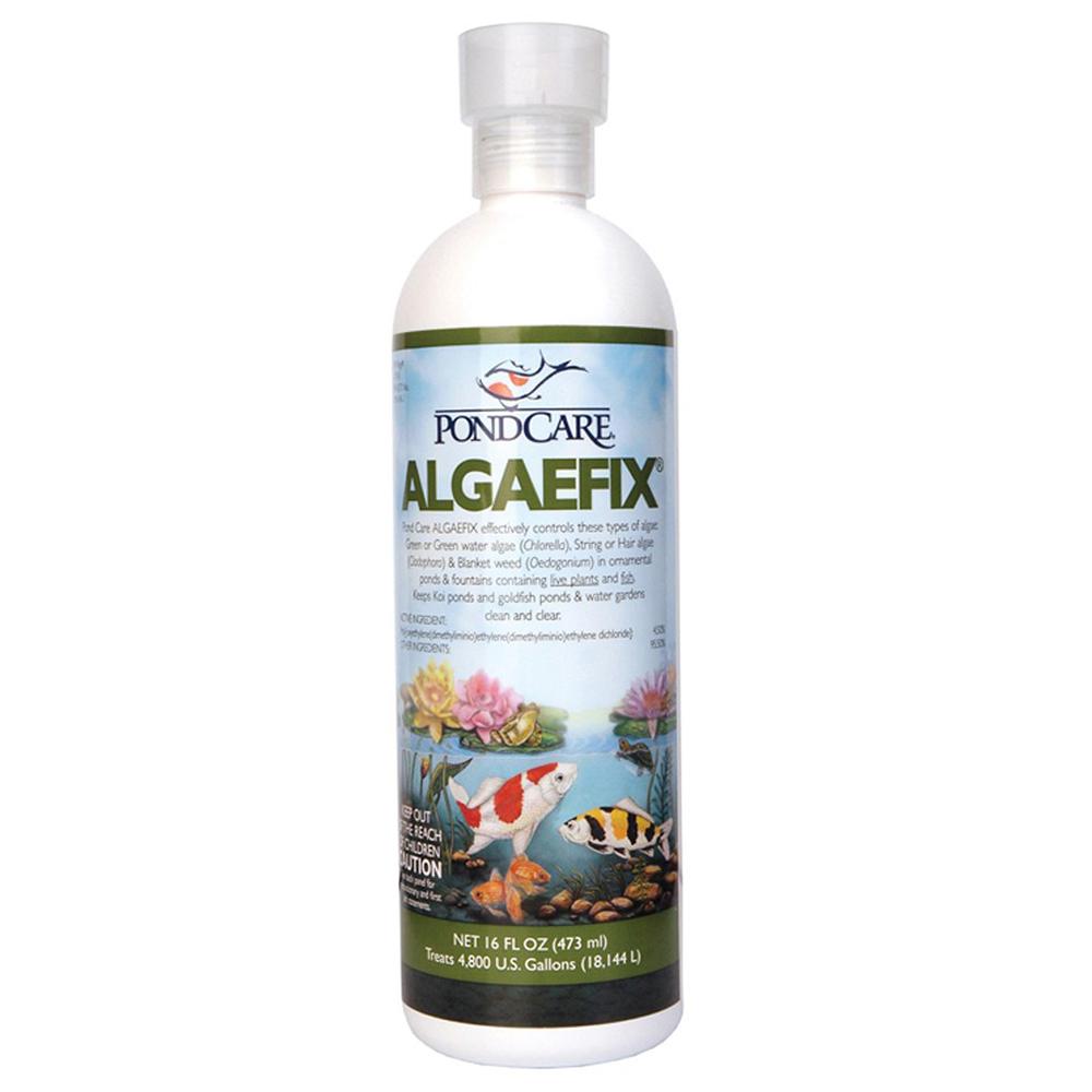 API Algaefix 473 мл - средство для борьбы с водорослями в аквариумах. API Algaefix средство для борьбы с водорослями. Средство от водорослей в пруду. Средство от водорослей в пруду с рыбами.